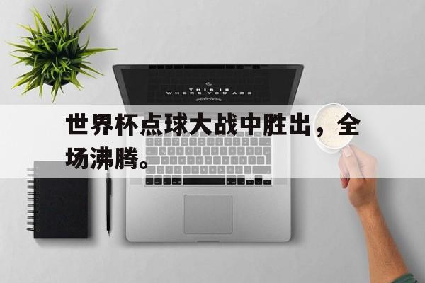 世界杯点球大战中胜出，全场沸腾。